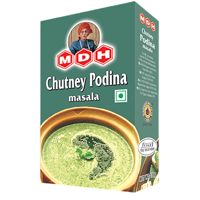 MDH Chutney Podina 100 g (exp: 31/12/25)